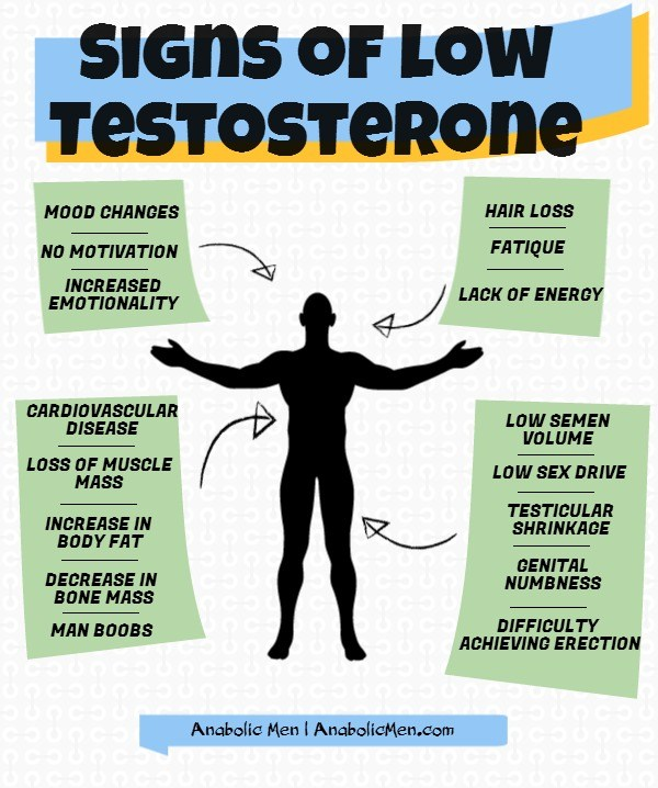 how-to-treat-abnormal-testosterone-levels-benefits-of-raw-steroids